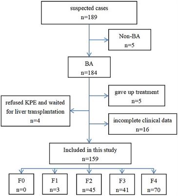 Sound touch elastography for assessing cirrhosis preoperatively in infants with biliary atresia: Comparison with serum fibrosis biomarkers